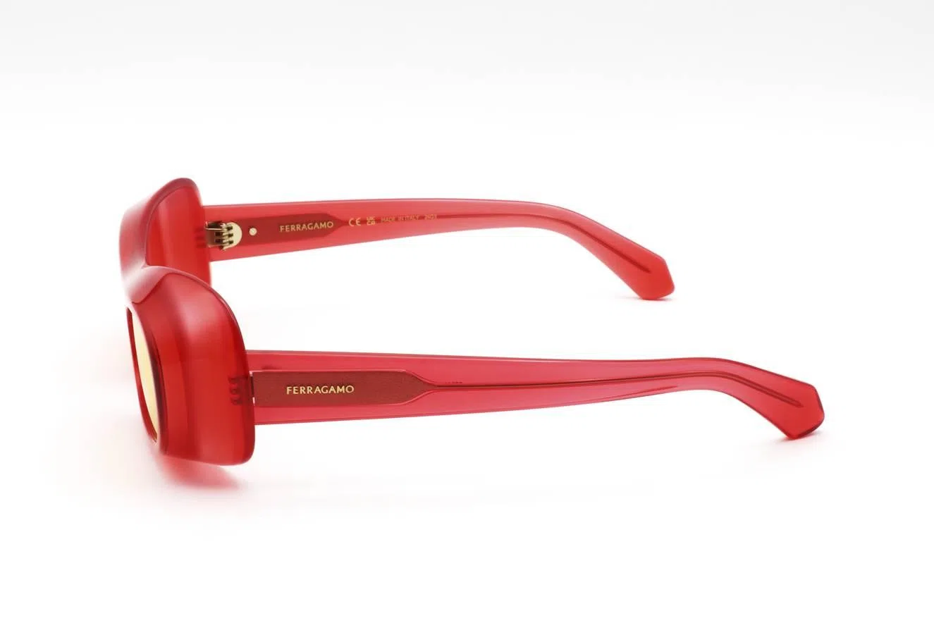 Ferragamo SF2030S Sunglasses - view 6